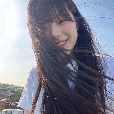 野探哈莉第四季
