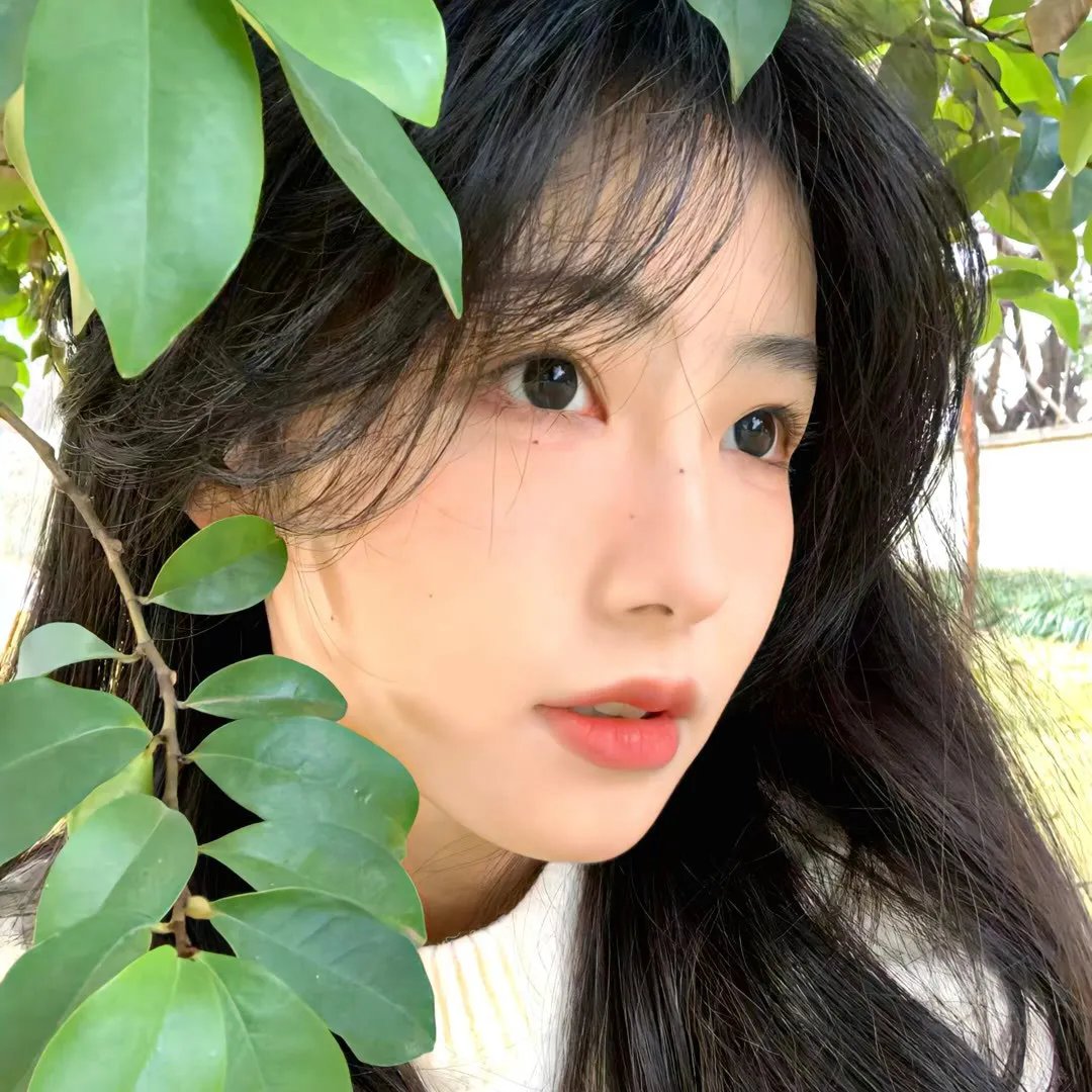 为你倾情